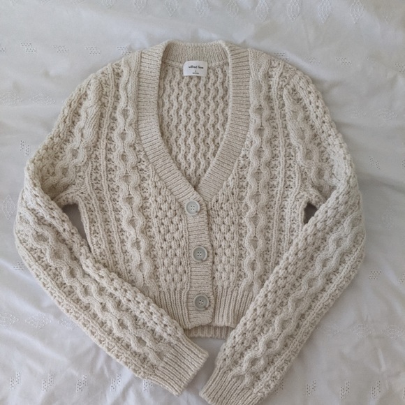 Aritzia Sweaters - Wilfred Adley Sweater
